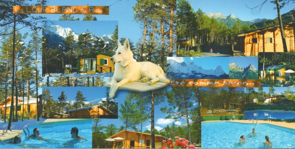Parc Residentiel De Loisir : Le Loup Blanc Du Riou Hotell Barcelonnette Eksteriør bilde